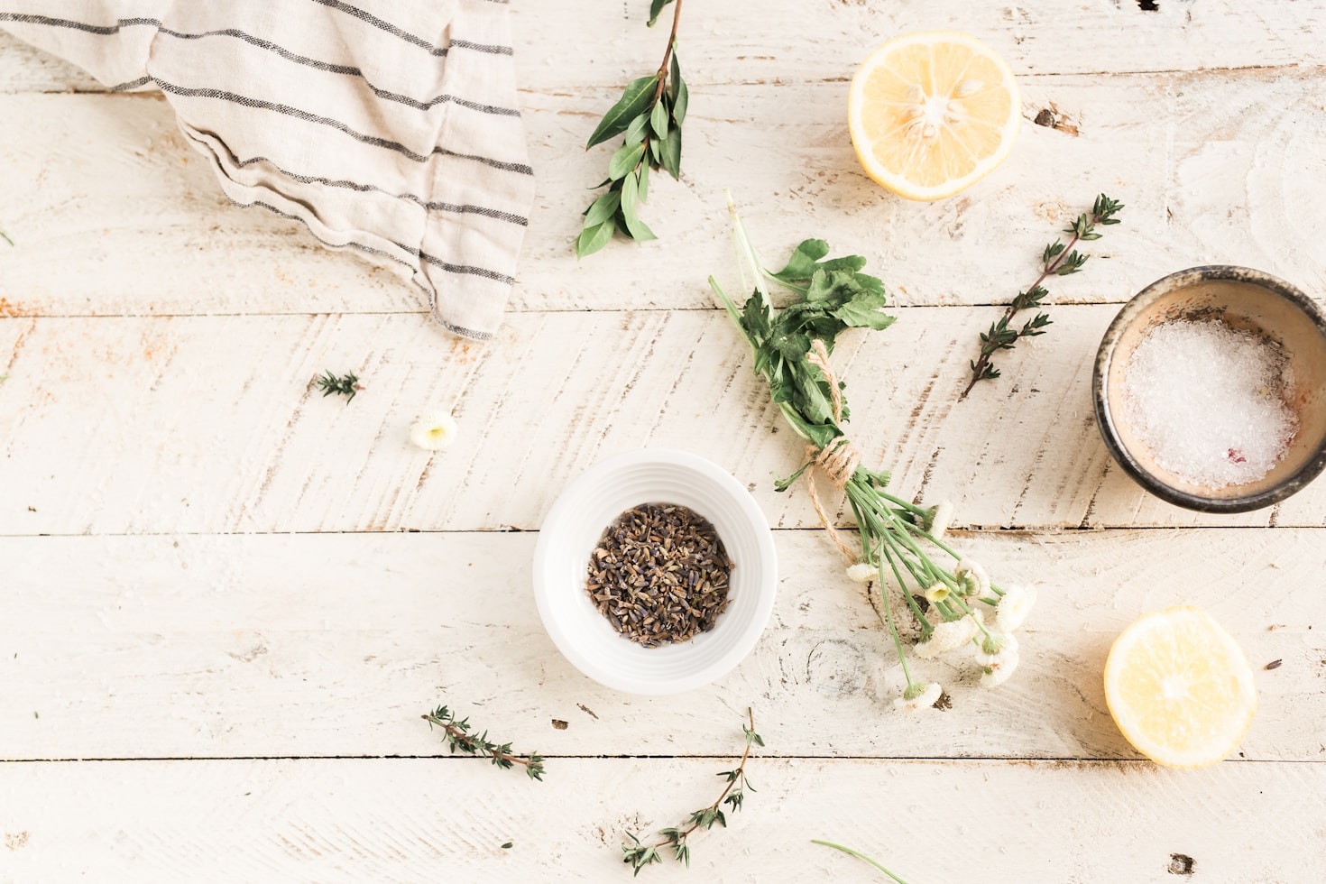 Guía para explorar las maravillas de las plantas medicinales